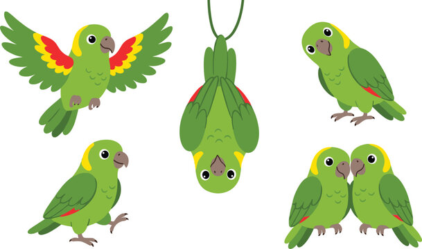 Cute Yellow Crowned Amazon Parrot Cartoon Character Vector Set Featuring Adorable Behavior Poses Like Flying, Hanging Upside Down, Walking, and Cuddling Pair