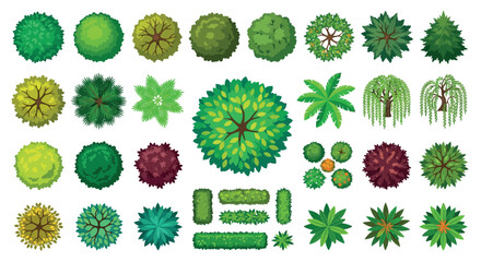 Trees From Above Vector Illustration With Green And Brown Foliage © PROMA
