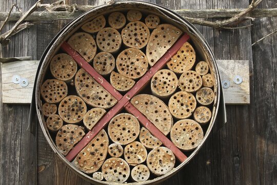 Insect hotel or insect house, nesting aid for a wide variety of insects, self-made, sealed tubes clearly visible, Lower Austria, Austria