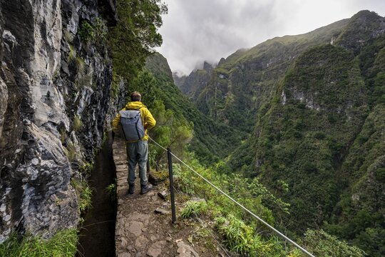 Hikers on a narrow path along a levada, view of forested mountains and gorges, Levada do Caldeir&atilde;o Verde, Parque Florestal das Queimadas, Madeira, Portugal