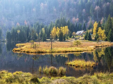 Kleiner Arbersee in autumn with Gasthof Seeh&auml;usl, Bavarian Forest, Lower Bavaria, Bavaria, Germany
