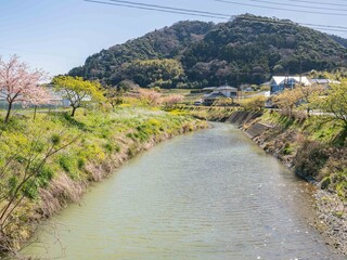 春의 光이 降り注ぐ川と里山の集落風景 © Masanori Saito