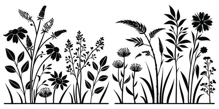 Black silhouette of various wildflowers and grasses on white background