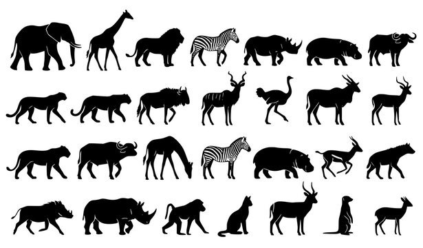 African Safari Animals Black Silhouette Vector Set Featuring Elephants Giraffes Lions Zebras Rhinoceros Hippopotamus Leopards Antelopes and Wild Savanna Nature Wildlife Icons