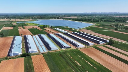 Aerial view of agricultural greenhouses and lakes in farmland landscape under clear summer sky © zhu difeng