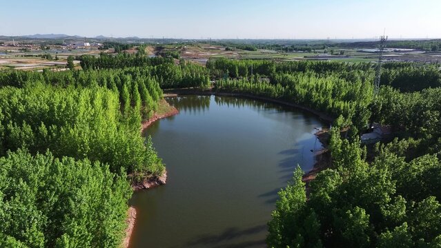 Aerial view of an artificial lake surrounded by lush green trees in rural landscape