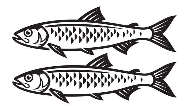 Sardines Black and White Vector Illustration Isolated on White Background