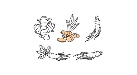 A collection of various root vegetables. © Malikmagak