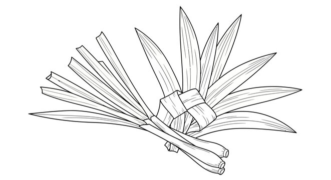 A bundle of lemongrass stalks tied together.
