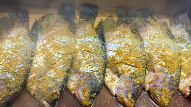 Fresh gourami (Osphronemus goramy), marinated and ready to cook. A freshwater fish with many benefits. Processed gourami fish