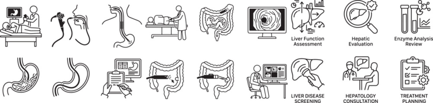 Hepatology and liver function assessment icon set for disease screening hepatic evaluation enzyme analysis review and treatment planning procedures