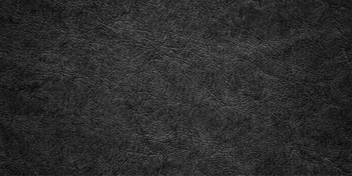Dark textured background, abstract charcoal surface with subtle striations and depth, conveying a sense of mystery and sophistication.