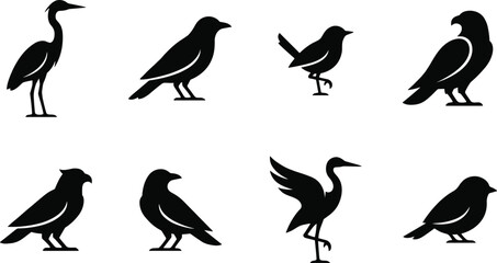 Fototapeta premium Black Bird Silhouette Collection Set Featuring Various Species and Poses on White Background