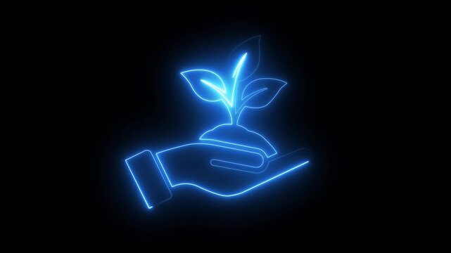 Glowing neon hand holding sprout sustainable growth and eco-friendly concept animation on black background .4k video motion graphic animation ,
