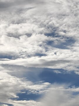 Layered Wispy Clouds Across Blue Grey Sky with Bird