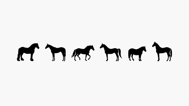 Six Black Horse Silhouettes Display Various Poses Against A White Background Vector Illustration equine horses stallion mare equus