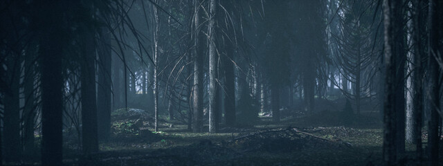 Naklejka premium Dark misty eerie forest with fir trees. 3D rendered image.
