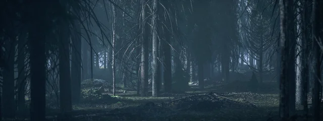 Dark misty eerie forest with fir trees. 3D rendered image. © ysbrandcosijn
