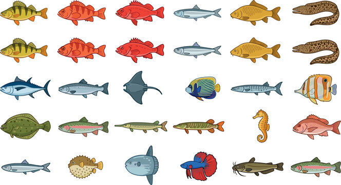 Sea and Freshwater Fish Species Vector Icon Set Featuring Tuna Salmon Trout Stingray Seahorse Angelfish Flounder and Pufferfish for Fishing Designs