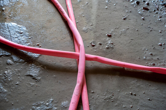 Pink hose lying on wet ground with debris