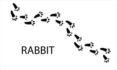 Obraz premium Rabbit Paw Print Track Line Icon Isolated on White Background. Animal Footprint Vector Illustration..eps