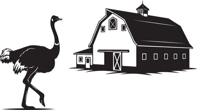 Black silhouette ostrich walking beside white and black barn