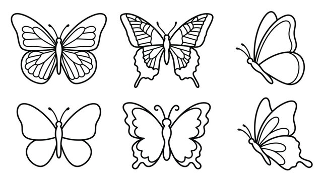Butterfly Collection Black And White Vector Illustration On White Background