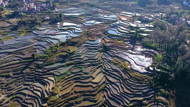 Aerial view of the terraced fields in Yuanyang, Yunnan Province