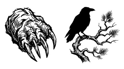 Obraz premium Monster Claw and Raven on Pine Branch Sketch