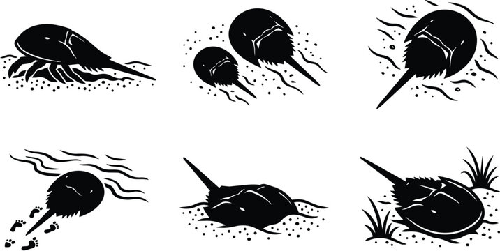 black vector silhouettes of spiny sea urchins on white background in a set