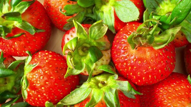 Colorful strawberries creating a rich natural pattern with vivid red and green tones. Perfect for freshness, healthy living, productivity, creativity, abundance, and nature-inspired design concepts.
