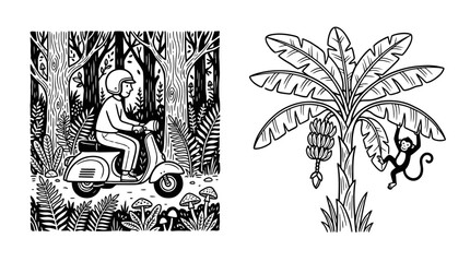 Man riding scooter through lush forest, monkey on banana tree © MuhammadRafi