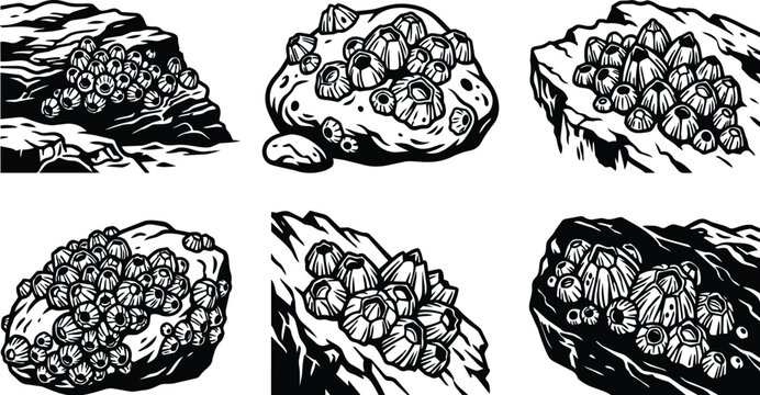 Vector art black and white rock clusters with seashells pattern in bold line art