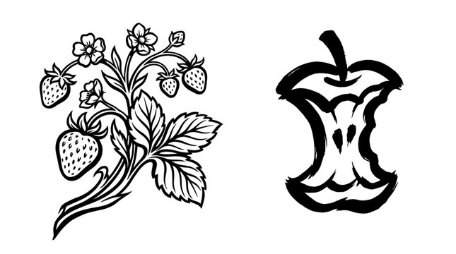 Strawberry Plant and Apple Core Sketch