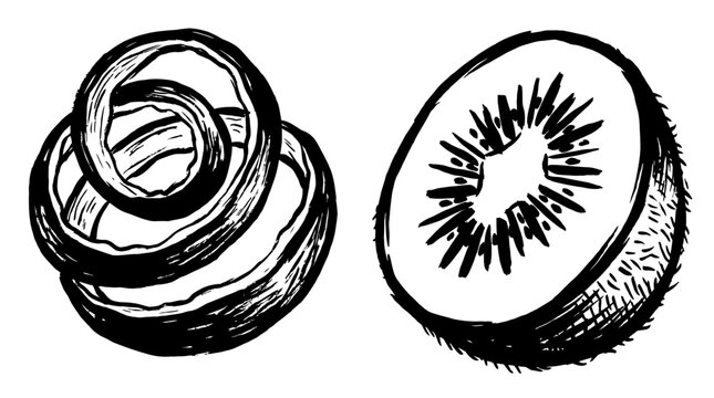 Kiwi Fruit Peel Spiral and Slice, Hand Drawn Sketch