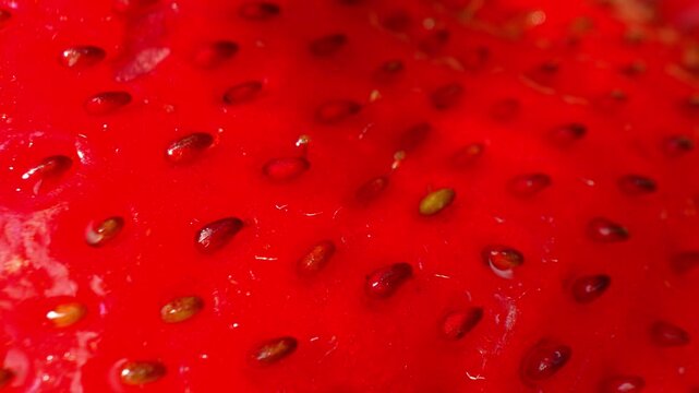 Detailed strawberry skin captured at close range emphasizes natural texture and vivid color, symbolizing freshness, seasonal harvest, agricultural abundance, and farm-to-table produce. 4k.
