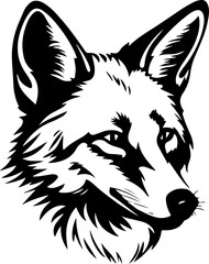 Obraz premium Coyote Wild, Canine, Wildlife, Animal, Desert, Predator,Nature Conservation