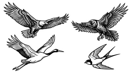 Obraz premium Diverse Birds Flying: Eagle, Crane, Crow, Swallow Sketch