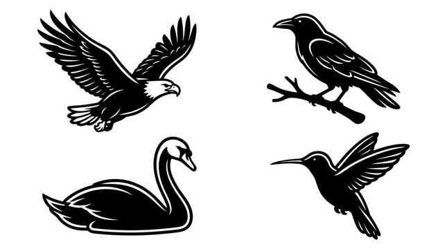 Diverse Birds Silhouette Collection: Eagle, Crow, Swan, Hummingbird