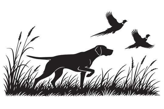 Hunting dog pointing at pheasants in the tall grass