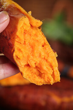 Fresh Sweet Potato Cross Section in Hand
