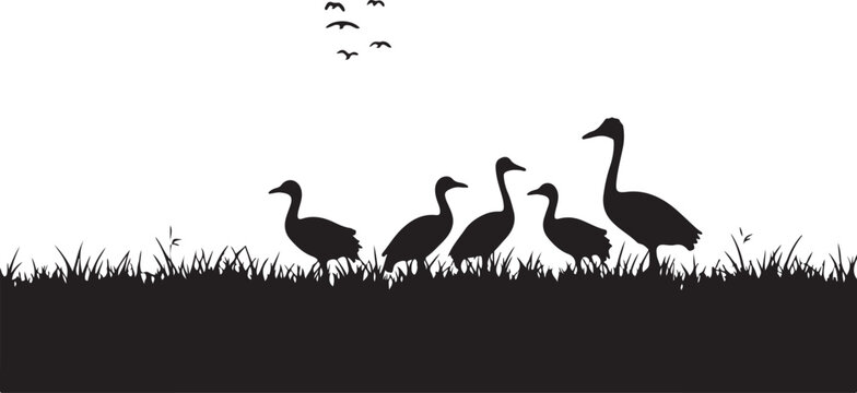 Black silhouette of geese standing in grass with flying geese