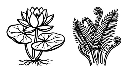 Lotus flower and fern leaves outline, vector illustration © Nur