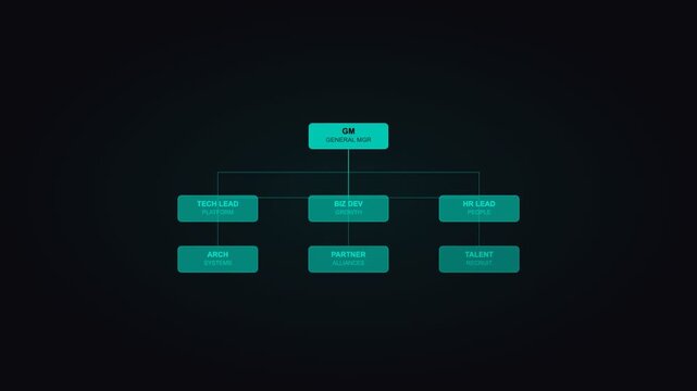 Teal Org Chart Company Structure Animation