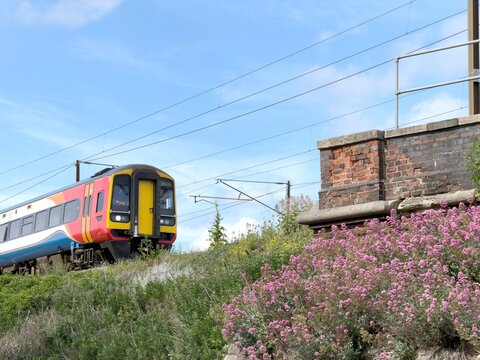 train going over a bridge with grassy bank and purple flowers 