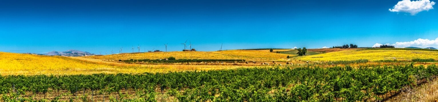 Tra Trapani e Salemi, nel cuore della Sicilia nord occidentale, tra vigneti, oliveti e grandi parchi eolici