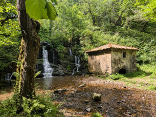 Naklejka premium Molin de la Peña, old watermill beside a small waterfall on PR-AS-137 (Río Profundo mills route), rustic stone building in lush forest by a stream, Villaviciosa municipality, Asturias, Spain