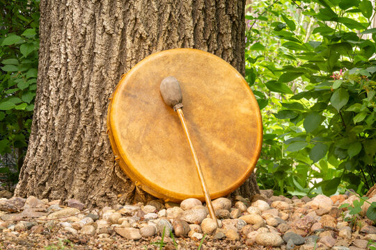 handmade, native American style, shaman frame drum covered by goat skin with a beater under an oak tree