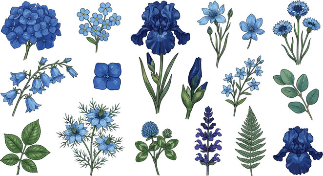 Blue Garden Flowers Vector Botanical Illustration Set Featuring Hydrangea, Iris, Forget-Me-Not, Cornflower, Fern Leaves, and Wildflower Hand-Drawn Clip Art Elements