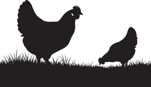 Black silhouettes of a hen and a chick in grass chickens